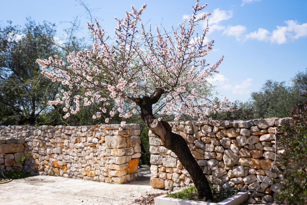 Masseria Montepaolo Dimora Di Charme Conversano Zewnętrze zdjęcie