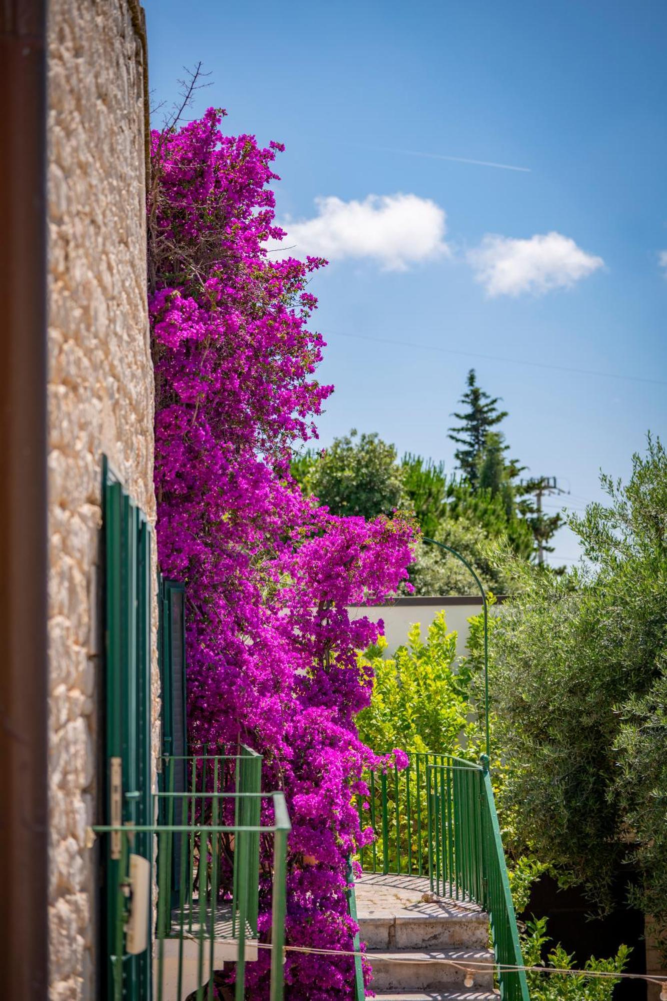 Masseria Montepaolo Dimora Di Charme Conversano Zewnętrze zdjęcie